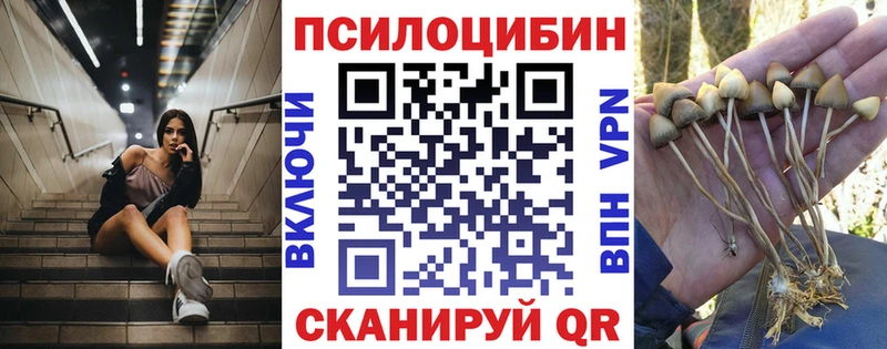 Псилоцибиновые грибы Cubensis  Купить где  Ульяновск 